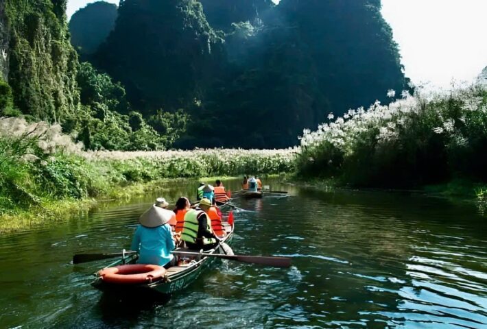 Ngẩn ngơ với vẻ đẹp tinh khôi của cánh đồng cỏ lau vào những ngày đông